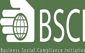 BSCI验厂顾问师对BSCI验厂准备工作进行的总结