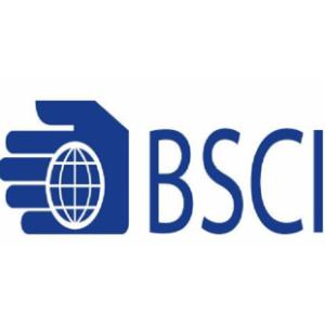 深圳BSCI验厂认证的优势及作用